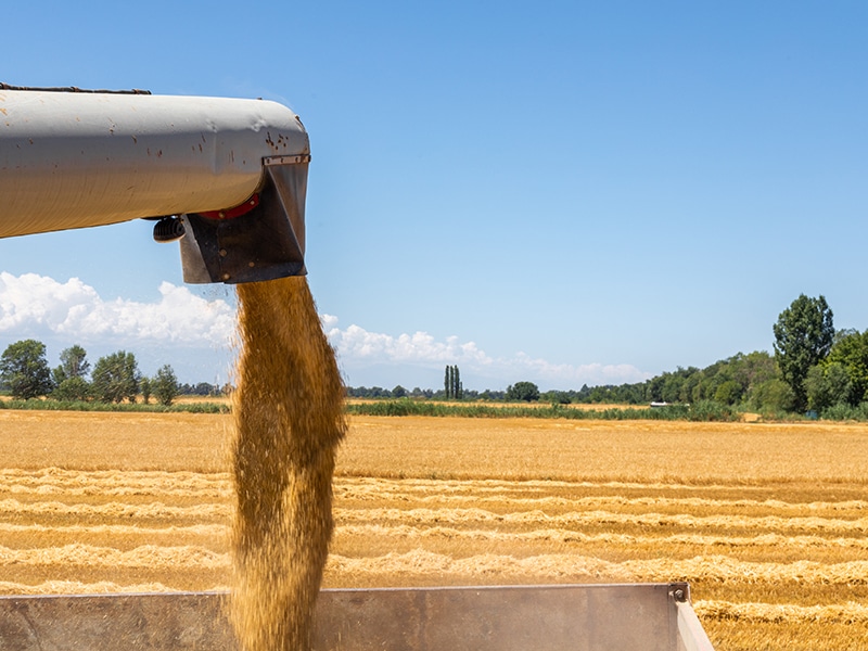 Trade Farm Fill Up Today launches to change materials transport - Trade Farm Machinery